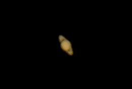 The planet Saturn